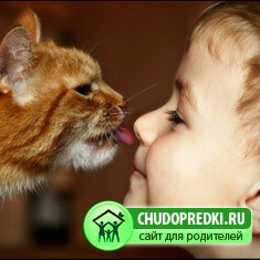 ����� � �������