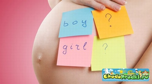 зачатие девочки или мальчика