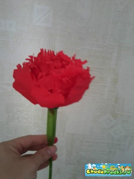 Красный цветок из бумаги. Мастер класс с фото