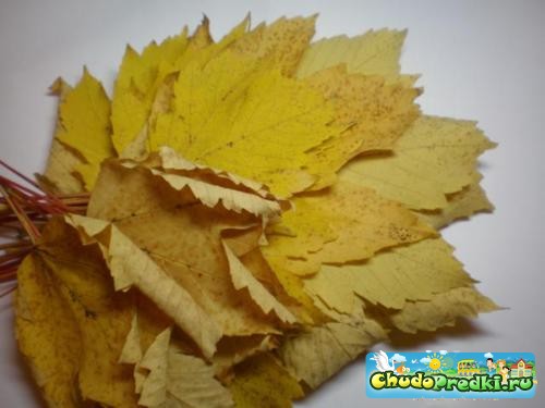 Осенний букет из листьев