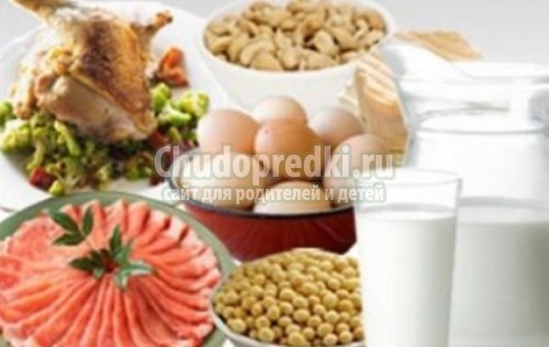 меню белковых диет