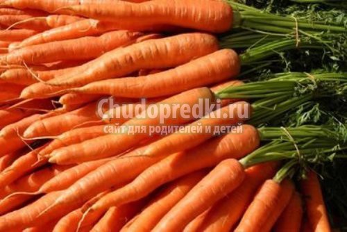 Cалат из моркови на зиму