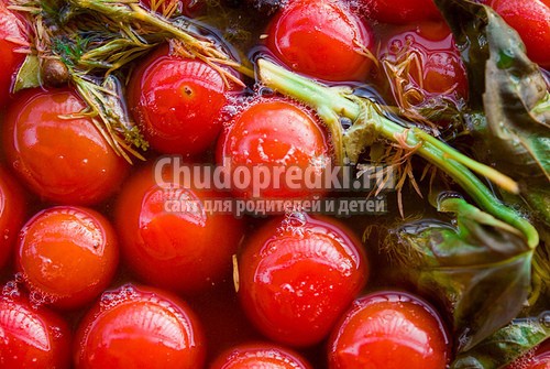 заготовка помидоров на зиму: лучшие рецепты