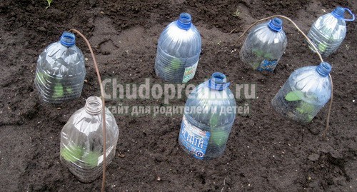Поделки для сада, огорода из пластиковых бутылок. Лучшие идеи для вашего участка!
