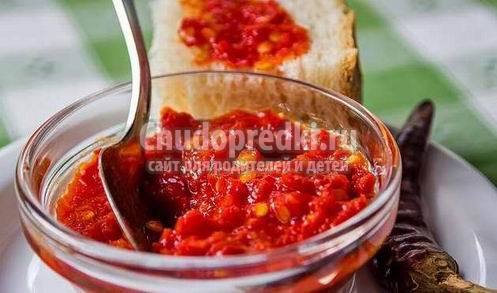 Рецепты аджики из помидоров и чеснока: ТОП-10 с фото