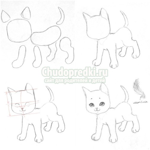 Как нарисовать кошку карандашом поэтапно: пошаговые мастер-классы с фото