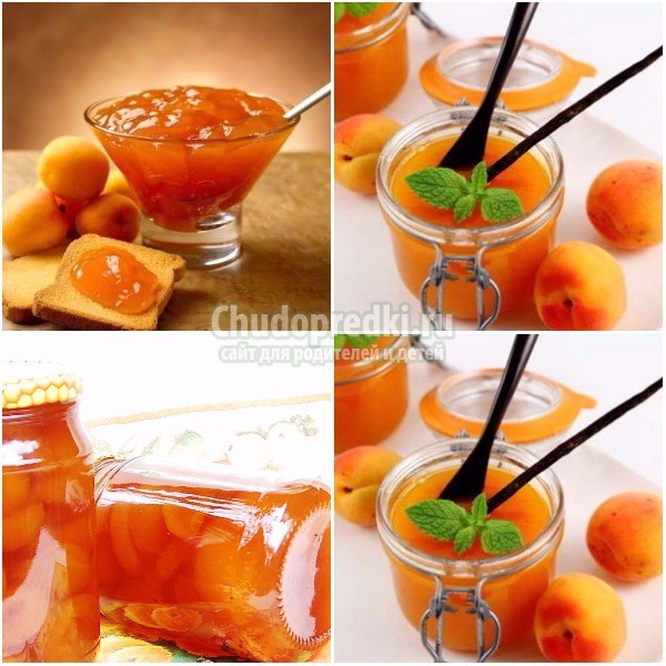 Как варить абрикосовое варенье: золотые рецепты с фото