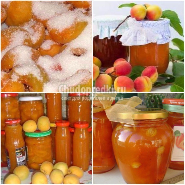 Как варить абрикосовое варенье: золотые рецепты с фото