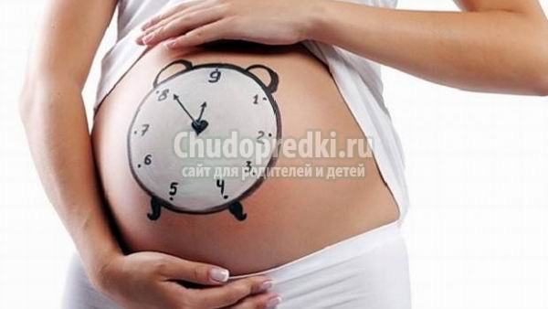 Способы определения срока беременности. Как сделать все правильно?