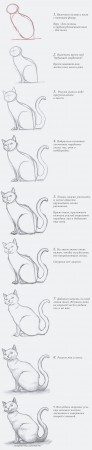 как нарисовать кошку