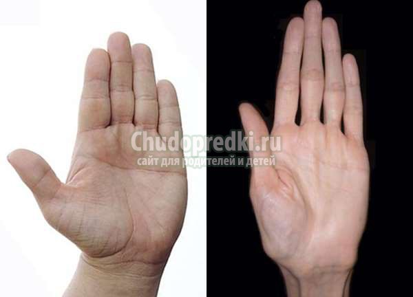 длина пальцев рук