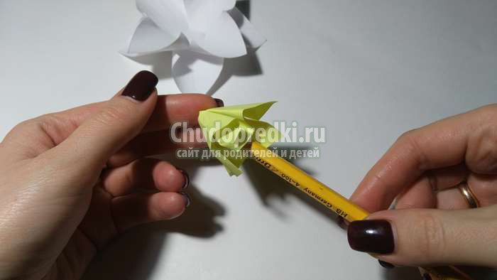 цветы из бумаги нарциссы