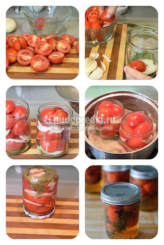 помидоры в желатине