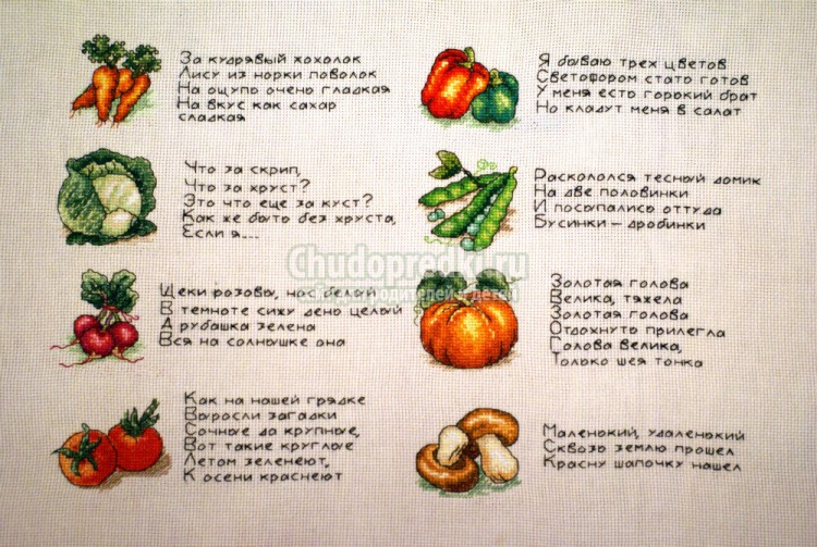 загадки про овощи и фрукты с ответами