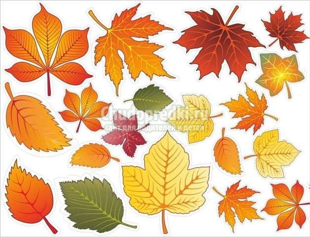 Рисунки осенних листьев