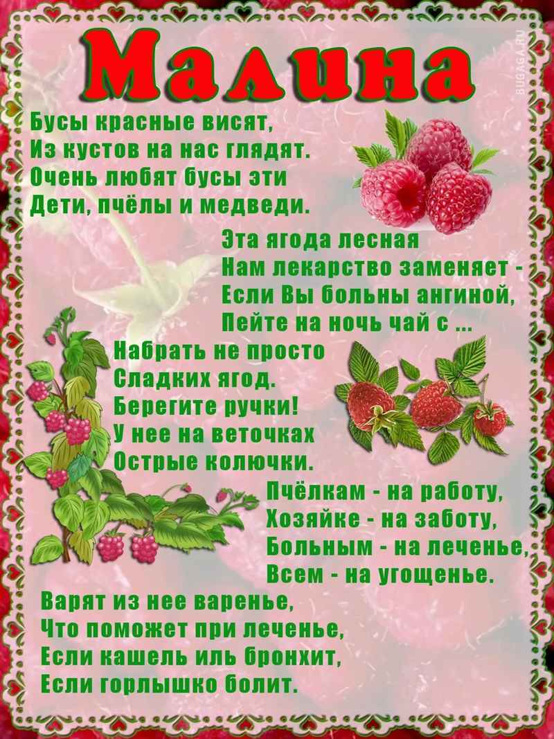стихи про ягоды