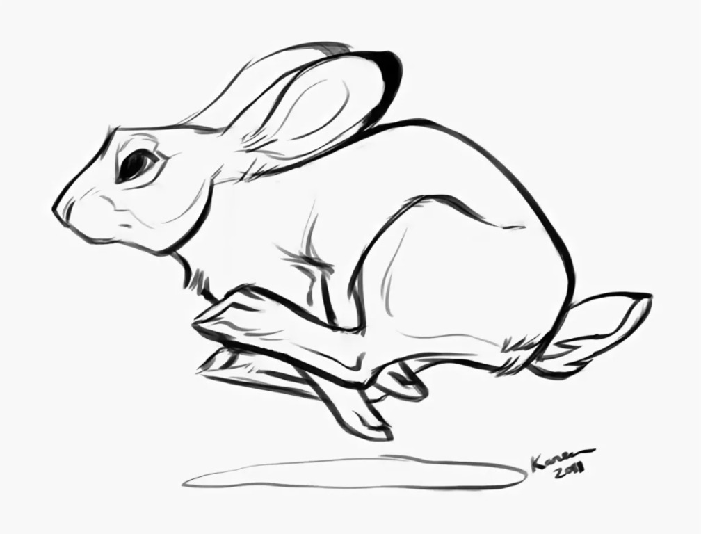 Как нарисовать реалистичного зайца в прыжке