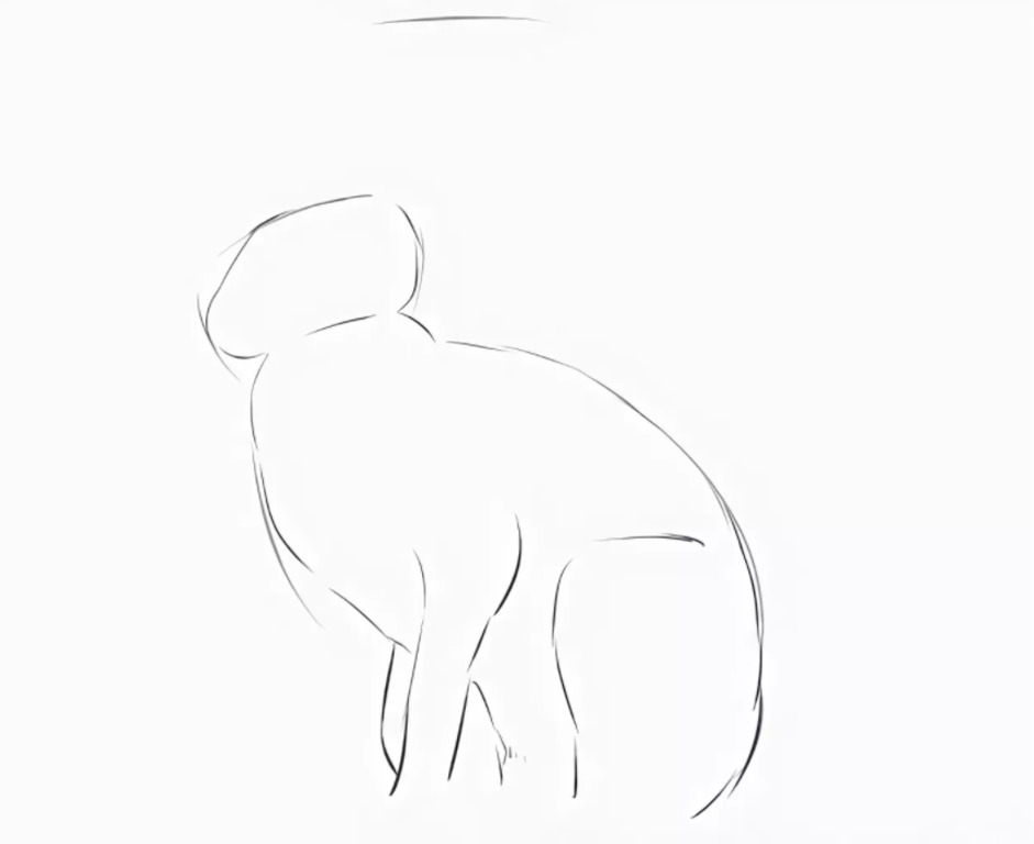 Как нарисовать сидящего зайца карандашом поэтапно
